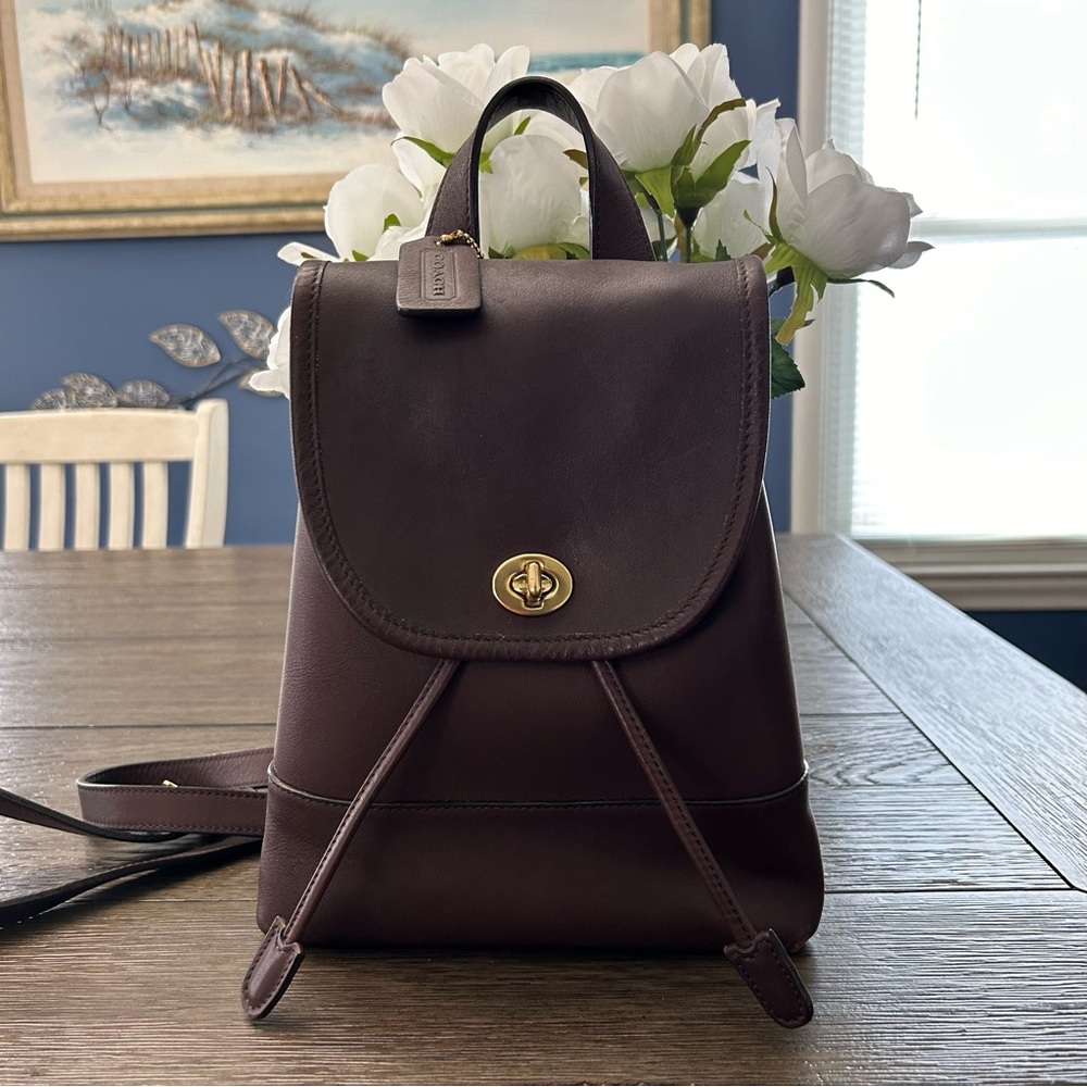 Coach Daypack (India)